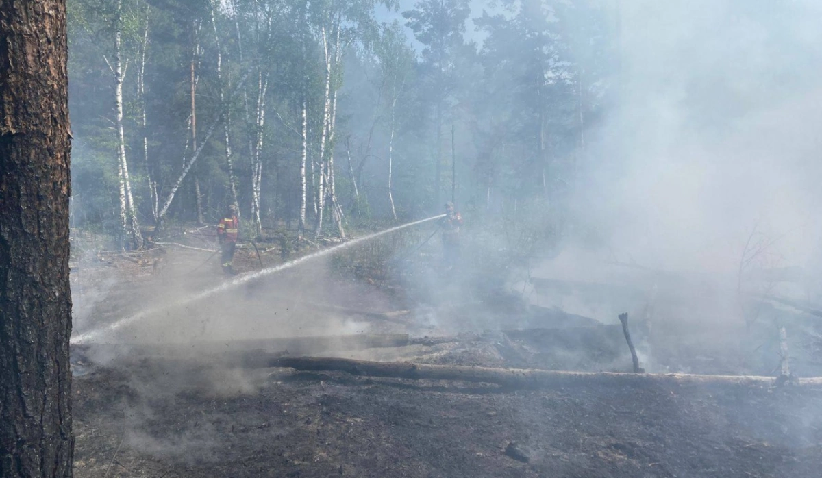 У Чорнобильській зоні після атаки дронів РФ знову спалахнула пожежа: що відомо