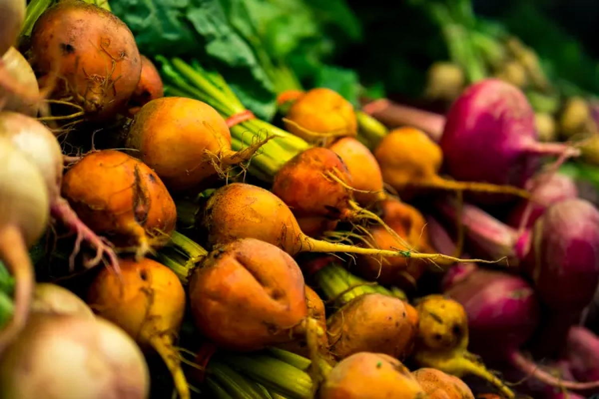 У Києві у вихідні пройдуть продуктові ярмарки: повний перелік локацій по районах