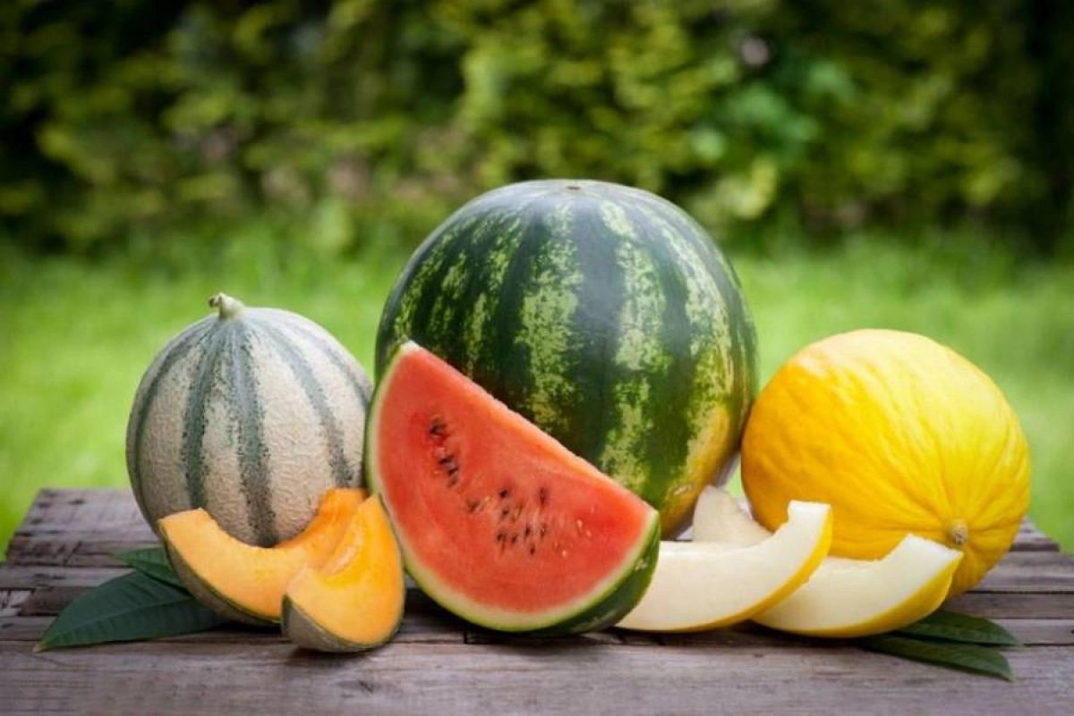 У Києві з’явилися перші кавуни та дині: скільки коштують літні ласощі