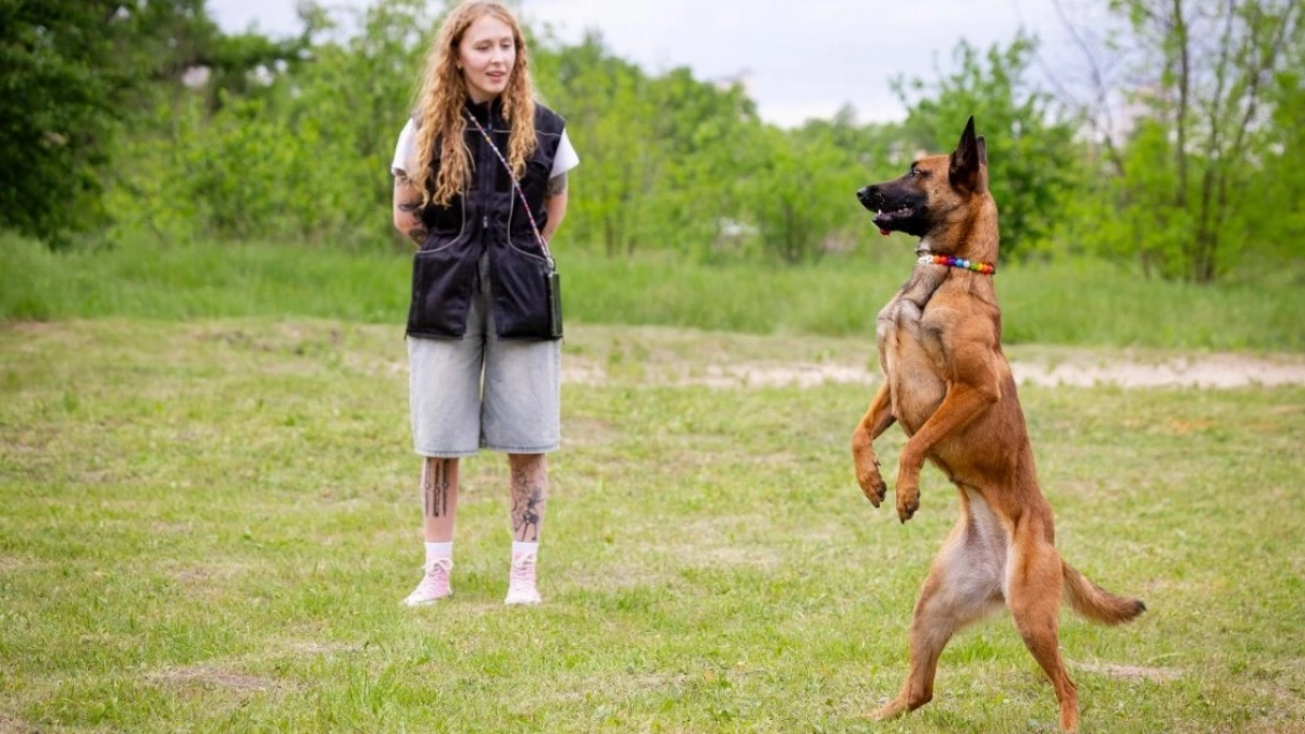 Holy Doggy Place у Києві відзначив річницю та анонсував рекорд для собак: фото