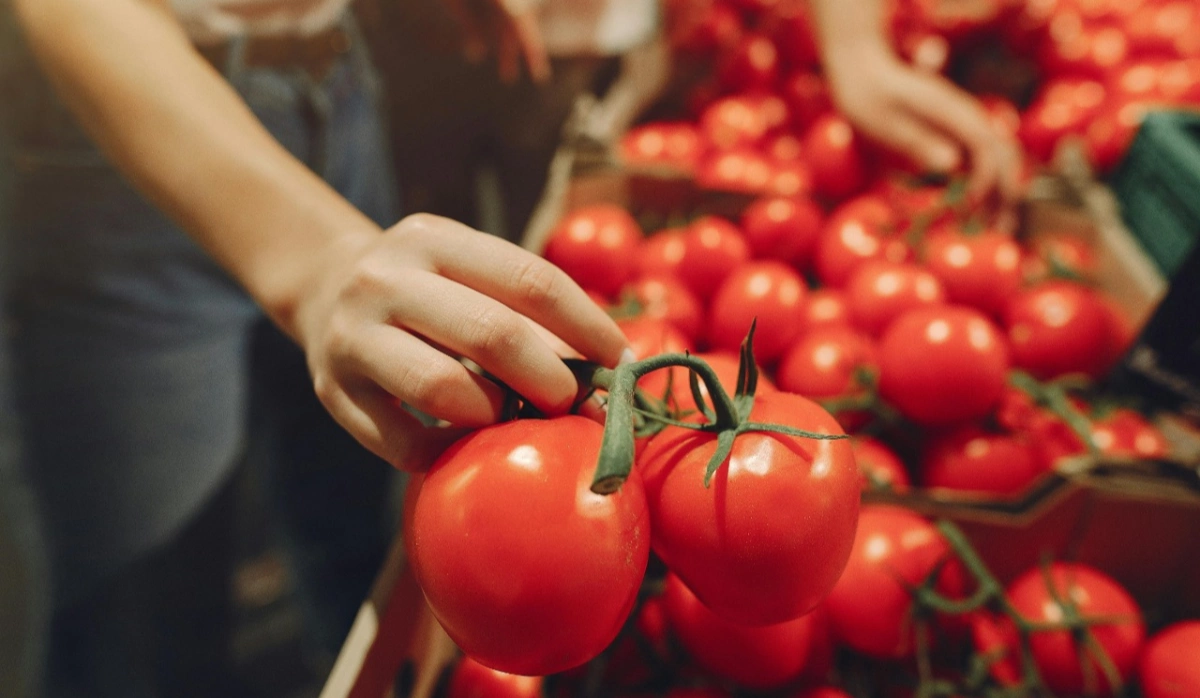 У Києві стартують продуктові ярмарки 26–31 травня: повний перелік локацій