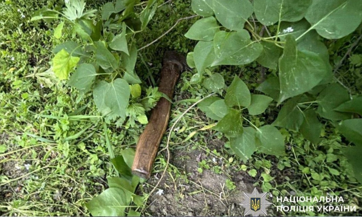 На Київщині чоловік напав із сокирою на сестру: потерпілу госпіталізували