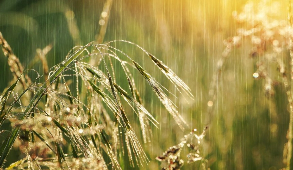 Погода у Києві на тиждень 1–7 червня: потепління до +25°C і періодичні дощі