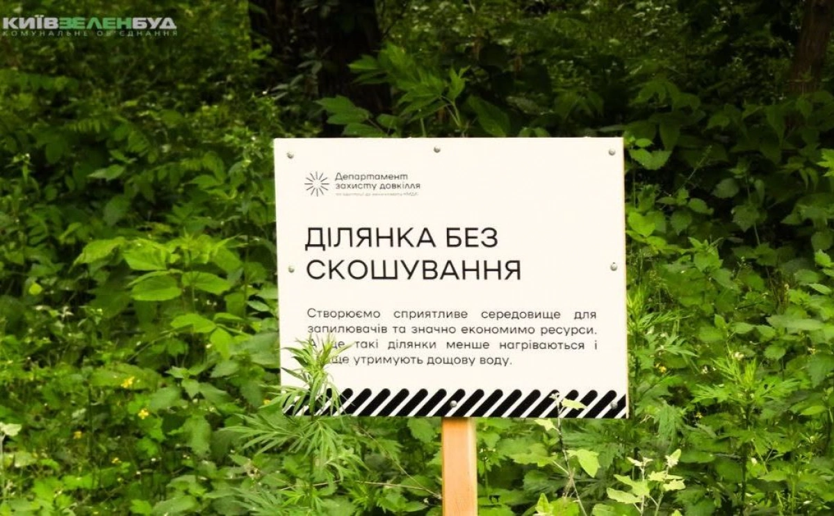 Чому в Києві залишають ділянки без скошування трави: пояснення «Київзеленбуду»