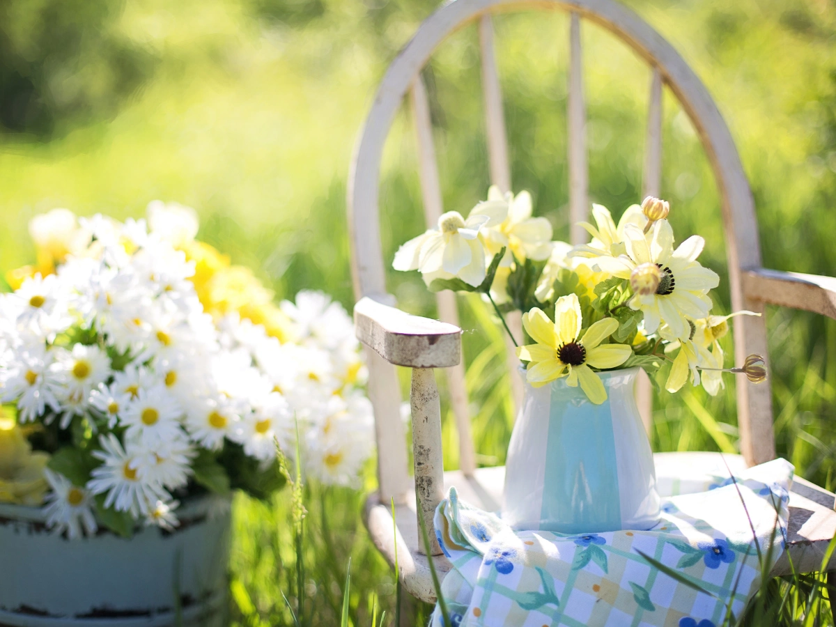 Погода у Києві 11 червня: до +27°C, сонце та без опадів