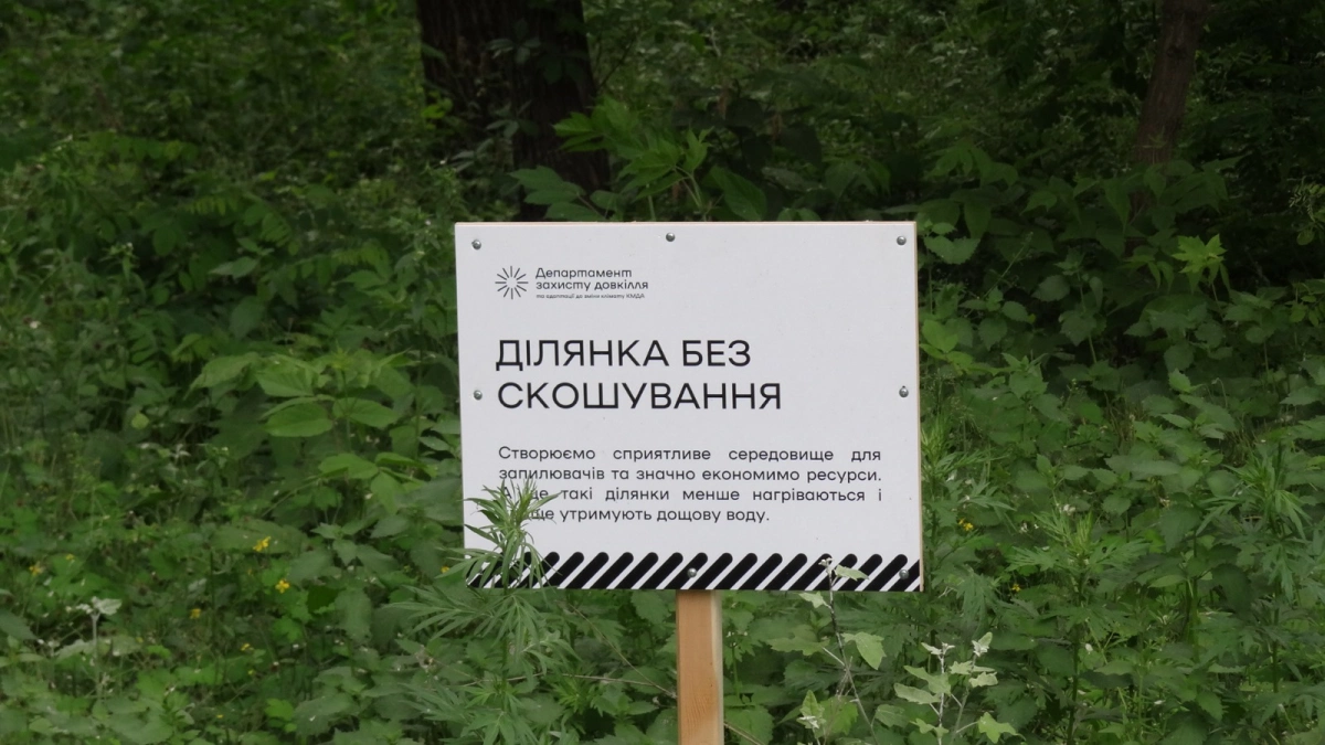 Баланс між косою та екологією: у Києві збільшили площу диких луків і територій без скошування трави