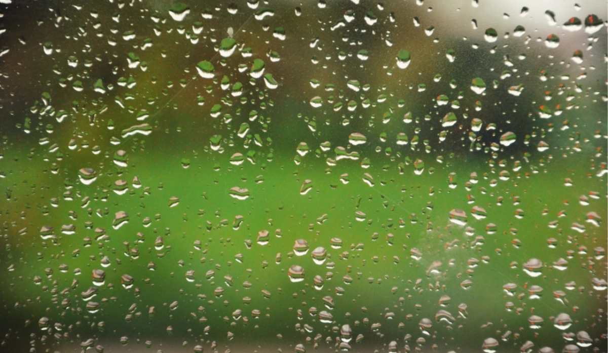 Дощі та до +21°C: якою буде погода у Києві на вихідних
