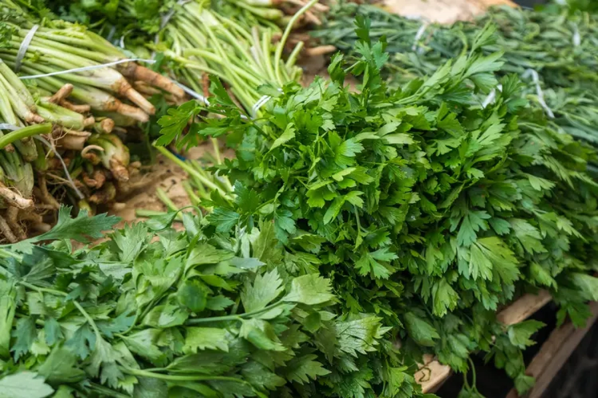Де у Києві працюватимуть продуктові ярмарки 13–14 червня: повний список локацій