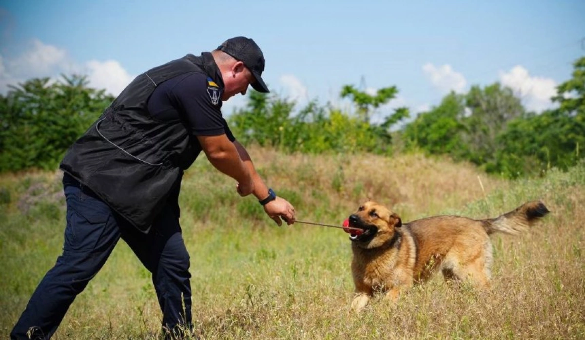 Київ побачив роботу чотирилапих саперів: ДСНС показала унікальні фото тренувань