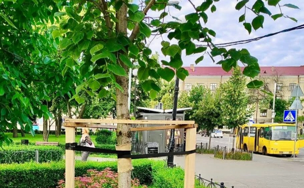 На Подолі в Києві оновлюють зелені зони: догляд за деревами та формування чагарників