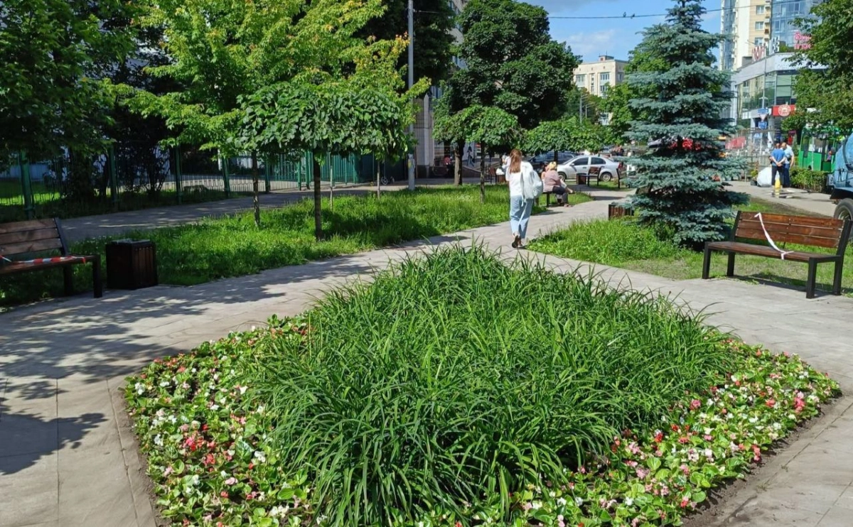 У Києві на Солом’янці завершили озеленення скверу в Політехнічному провулку: що зробили комунальники
