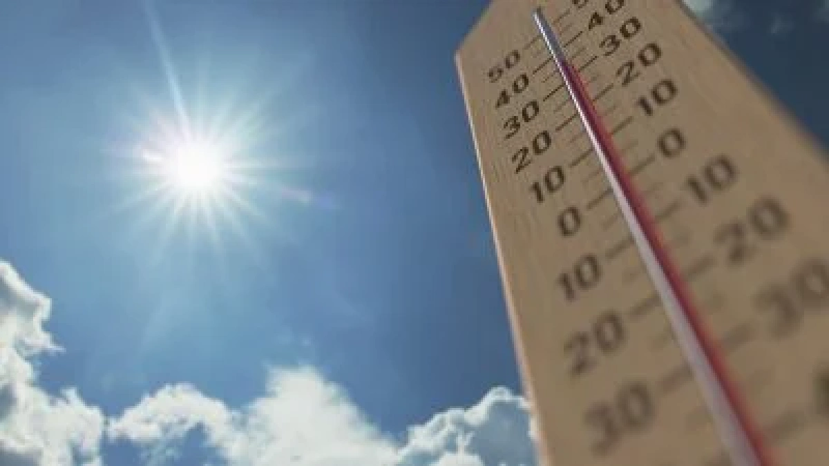 На Київщині очікується сильна спека до +38°: синоптики попередили про небезпеку