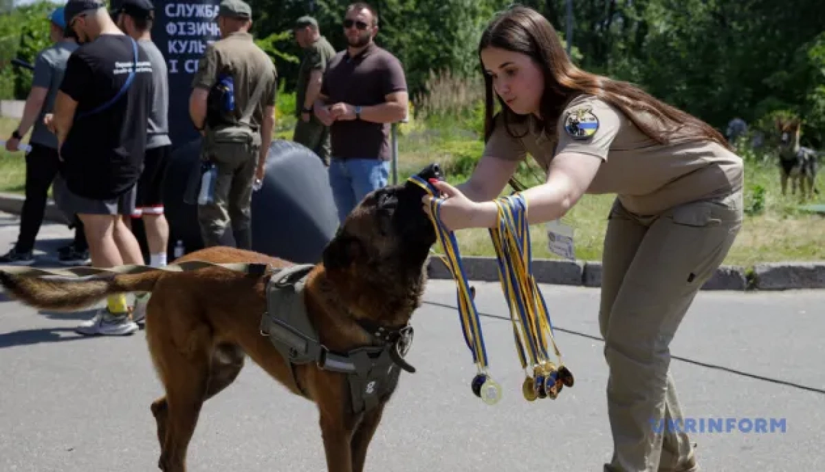 У Києві провели військовий K9-забіг із собаками: встановлено рекорд України