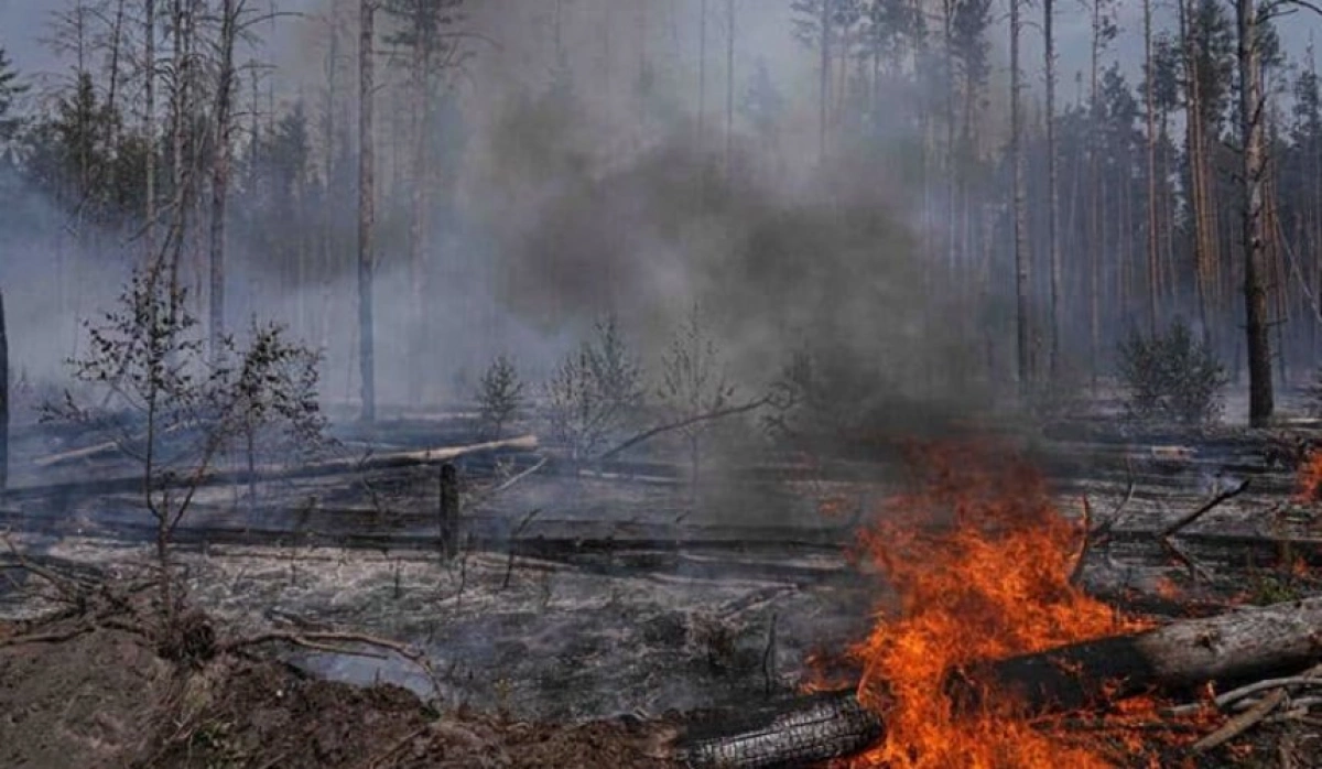 У Києві та області оголошено надзвичайний рівень пожежної небезпеки 30 червня 2026
