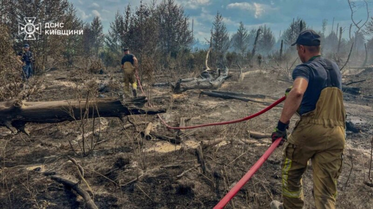 У Чорнобильській зоні загасили 130 га лісу, але пожежі ще тривають