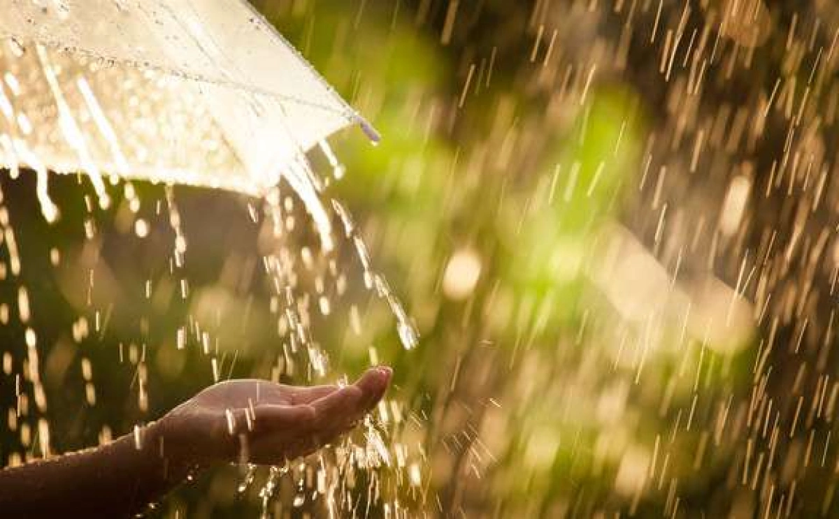 Погода у Києві на 9 липня: сонячний день із короткочасним дощем і до +21°C