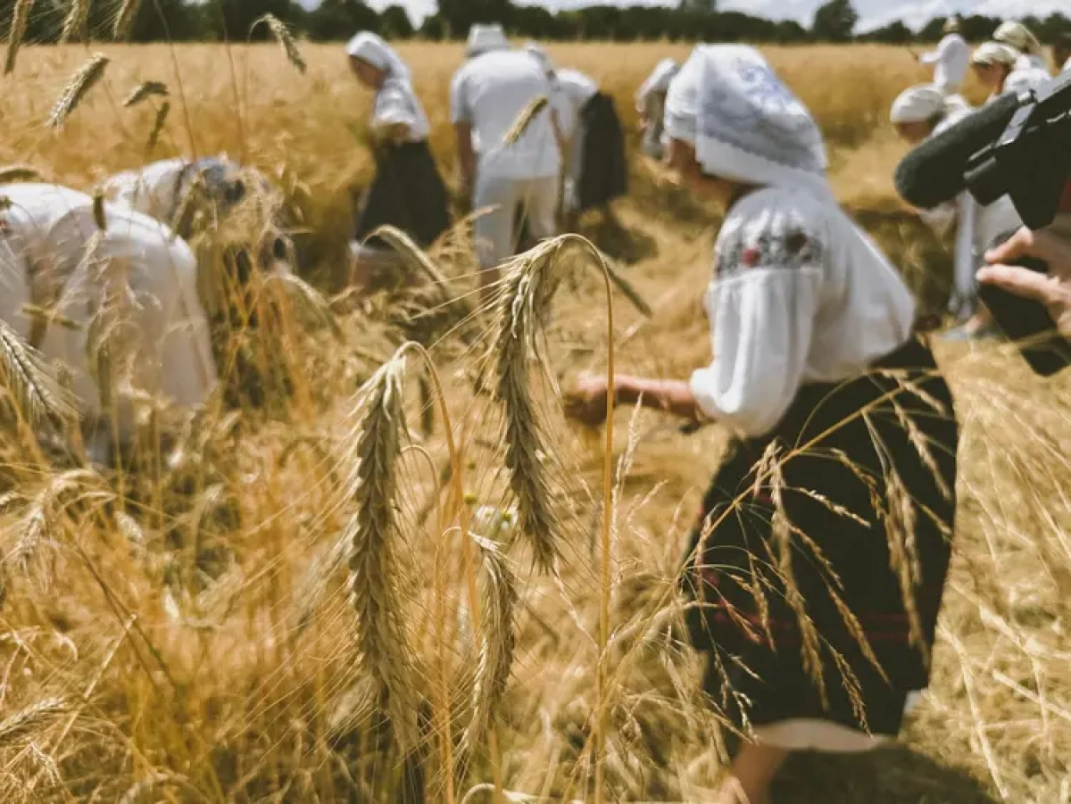 У Музеї просто неба проведуть Свято українського хліба: коли відбудеться та що покажуть