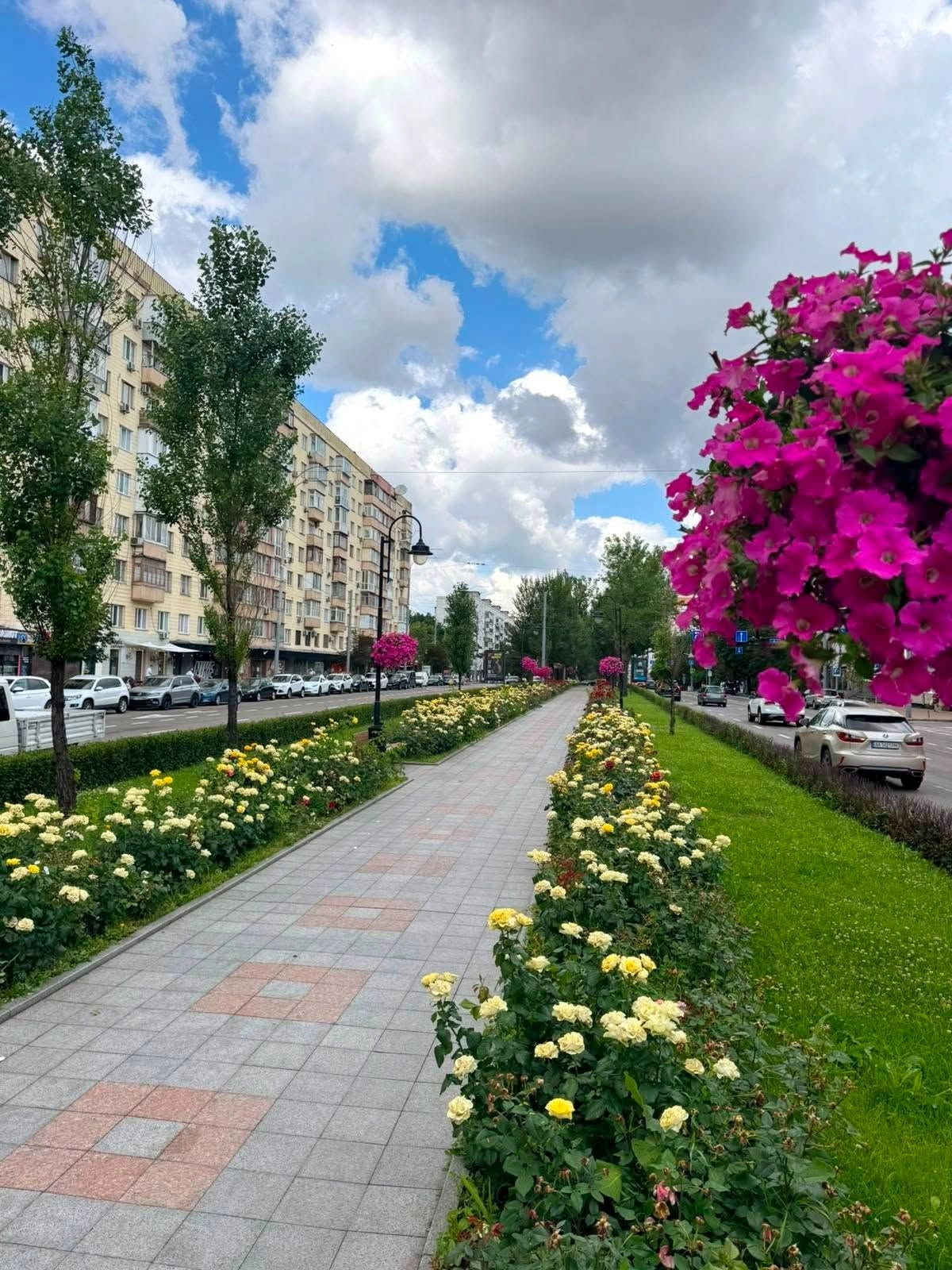 На бульварі Лесі Українки в Києві висадять нові квіти: як оновлюють зелені зони