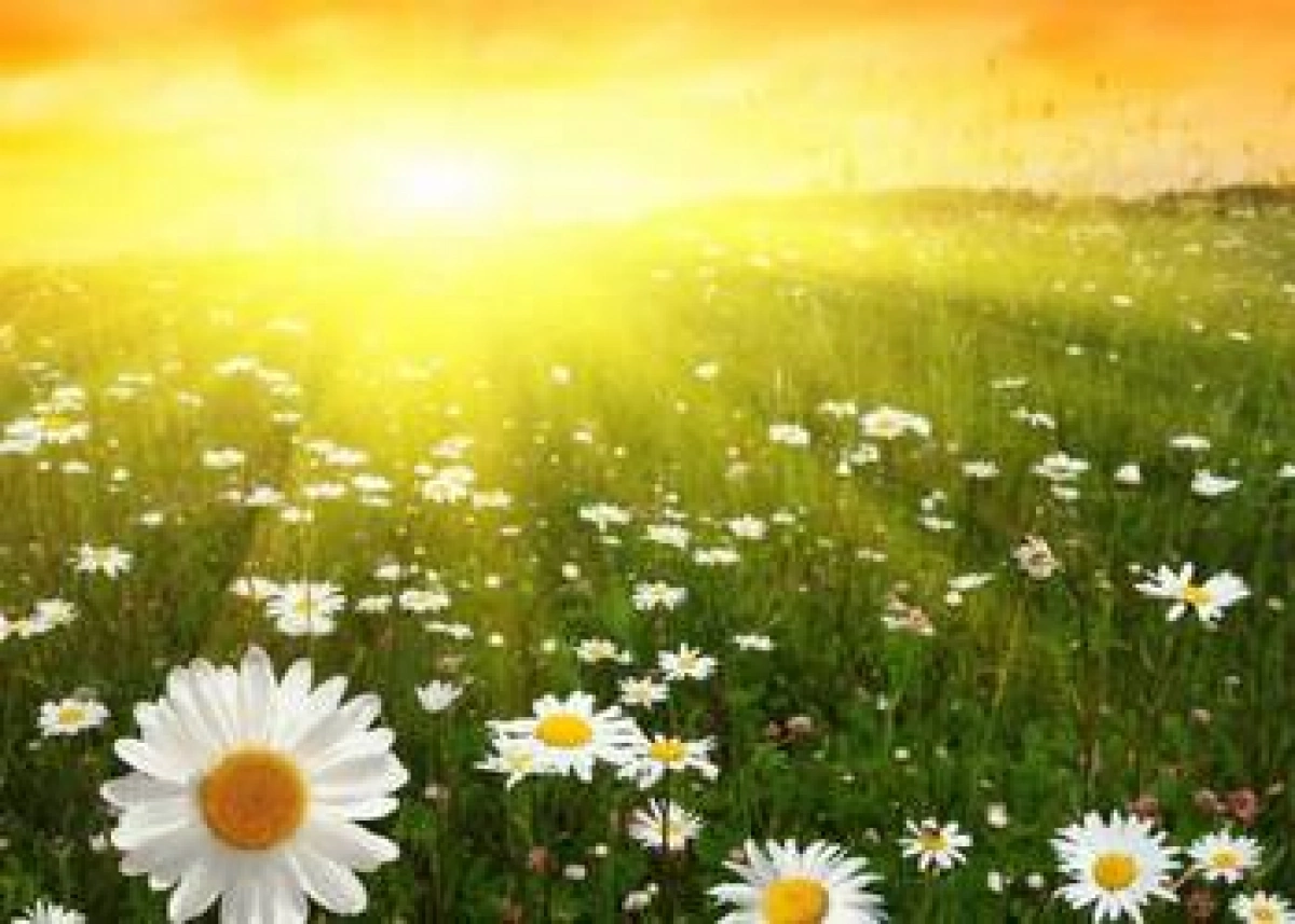 Погода у Києві на 18 липня: сонячно, без дощу та до +27°C
