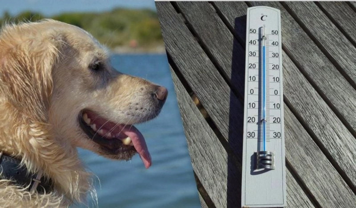 Погода у Києві на 19 липня: спека до +30°C, але без опадів