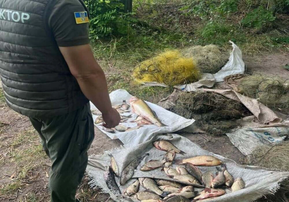 На Київщині виявили порушення правил рибальства на понад 559 тисяч гривень