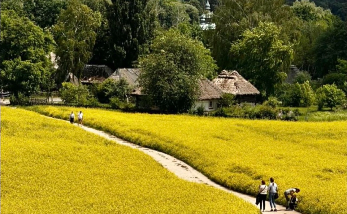 Пів століття історії: Музей у Пирогові святкує 50 років від дня відкриття