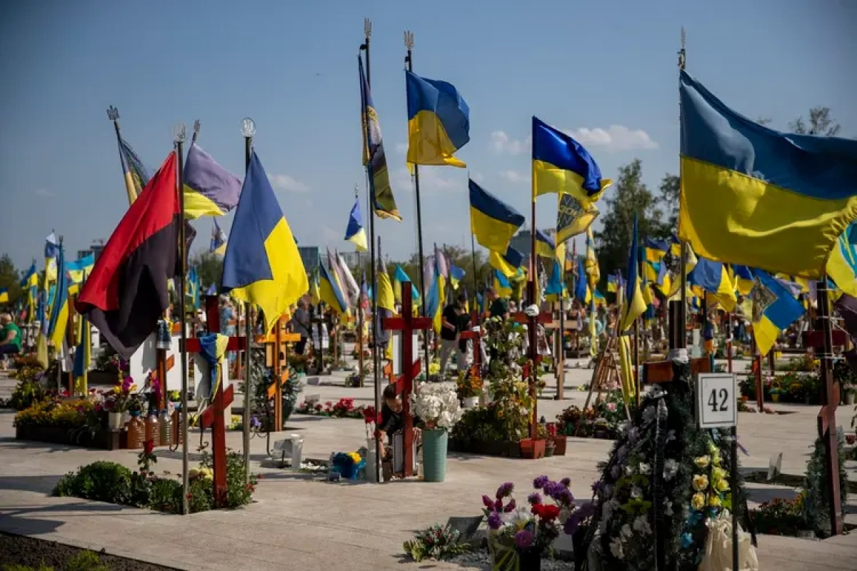 Тендер на ремонт Берковецького кладовища за 362 млн грн: журналісти заявили про можливе завищення цін