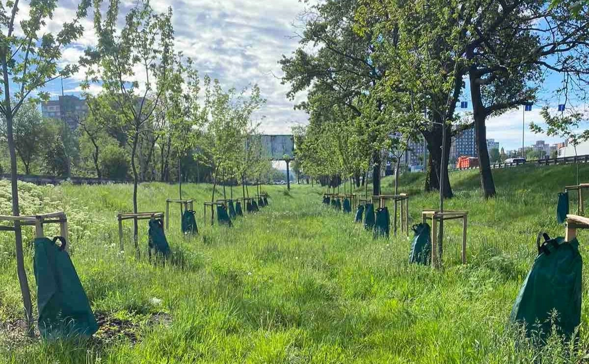 У Києві встановили понад 6 тисяч систем повільного поливу дерев