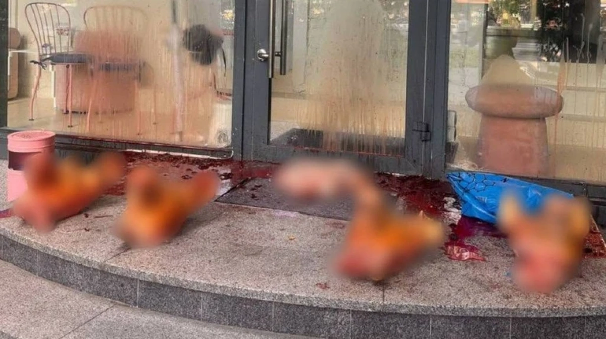 Невідомі підкинули свинячі голови до салону G×Bar у Києві - поліція шукає причетних