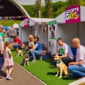 Як знайти свого нового хвостатого друга на AdoptMe Days у Києві?