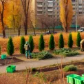 Загадкові ящики і обрізка кущів: як Київ готується до зими