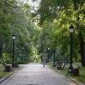 Як 120 років тому кияни відпочивали у Міському саду: архівні фото