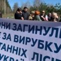 Суд визнав незаконним будівництво військового кладовища у Мархалівському лісі