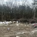 У Бучанському районі виявили незаконне захоронення будівельних відходів