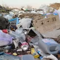 У Бучанському районі виявили чергове незаконне сміттєзвалище: екологи вимагають очищення