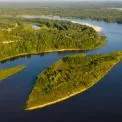 Чорнобильський заповідник на межі: зміни рівня ґрунтових вод викликають занепокоєння