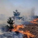 Пожежа через випалювання трави на Київщині: як рятувальники врятували дітей