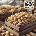 Ціни на картоплю в Україні різко впали: причини та прогноз