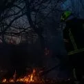 У столичному парку “Муромець” згорів гектар трави та дерев: що сталося 28 березня