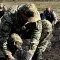 В Ірпені висадили лавандову галявину памʼяті загиблих мешканців