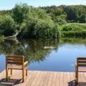 Екоакція в Ірпіні: як білі амури допоможуть очистити водойму Київщини