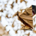 В Києві з’явиться арт-інсталяція з 5000 орігамі-птахів: символ незламності та підтримки поранених українців