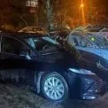 У Солом’янському районі Києва дерево впало на авто: що відомо