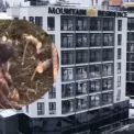 Mountain Residence у центрі скандалу:  у Буковелі працівник побив коня палицею