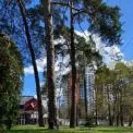 Парк на Берестейському проспекті стане комфортним для маломобільних киян
