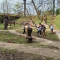 Що висадили під час загальноміської толоки в Києві?