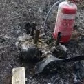 Київські тероборонівці врятували оселі від лісової пожежі після атаки ворога