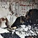 Трагедія в Ірпені: чоловік загинув у пожежі через несправну електрику