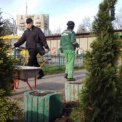 У столиці висадили сотні нових дерев і кущів: які саме та де