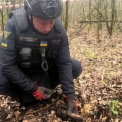 У лісі під Києвом знайшли бойову гранату: чому це небезпечно навіть через 80 років